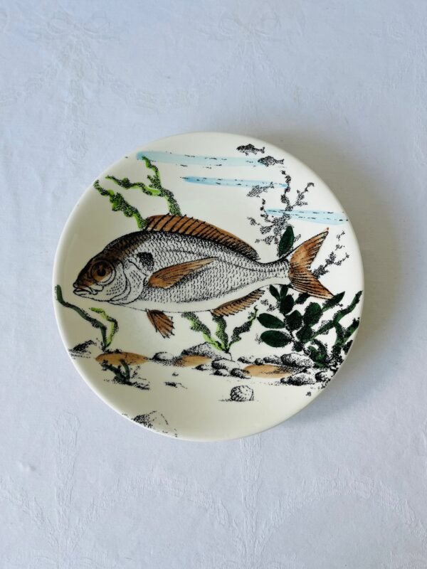 IMG_5754 Visborden, half diep