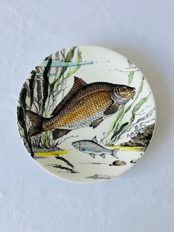 IMG_5755 Visborden, half diep