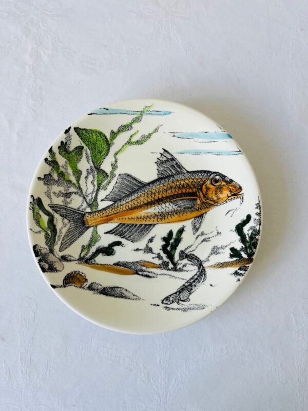 IMG_5757 Visborden, half diep