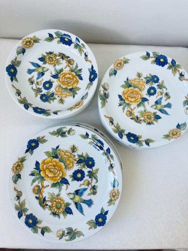 Pillivuyt France – Décor Spécial “Oiseaux et Fleurs” – Dinerborden Pillivuyt France – Décor Spécial “Oiseaux et Fleurs” – Dinerborden