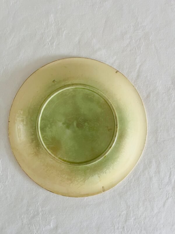 Barbotine Majolica – Waarschijnlijk Salins – Set van 2 Borden Barbotine Majolica – Waarschijnlijk Salins – Set van 2 Borden