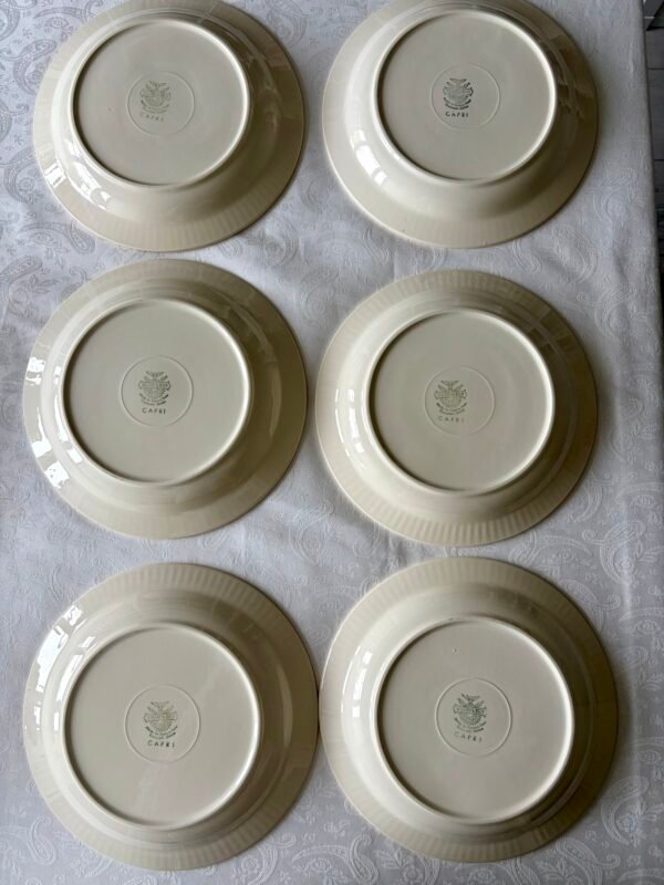 IMG_0100 Villeroy & Boch Capri set van 6 soepborden achterkant