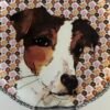 IMG_0963 Gien darling dog Clovis close up foto